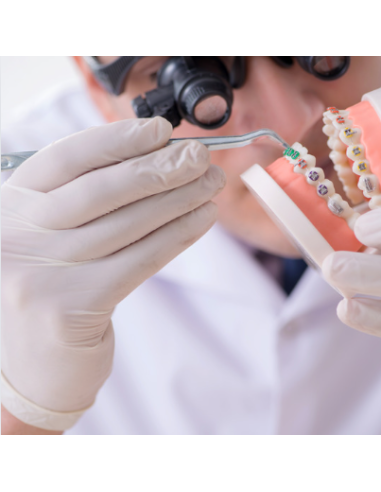 White nitrile gloves 100 pcs