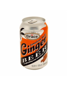 GINGER DRINK 330ml